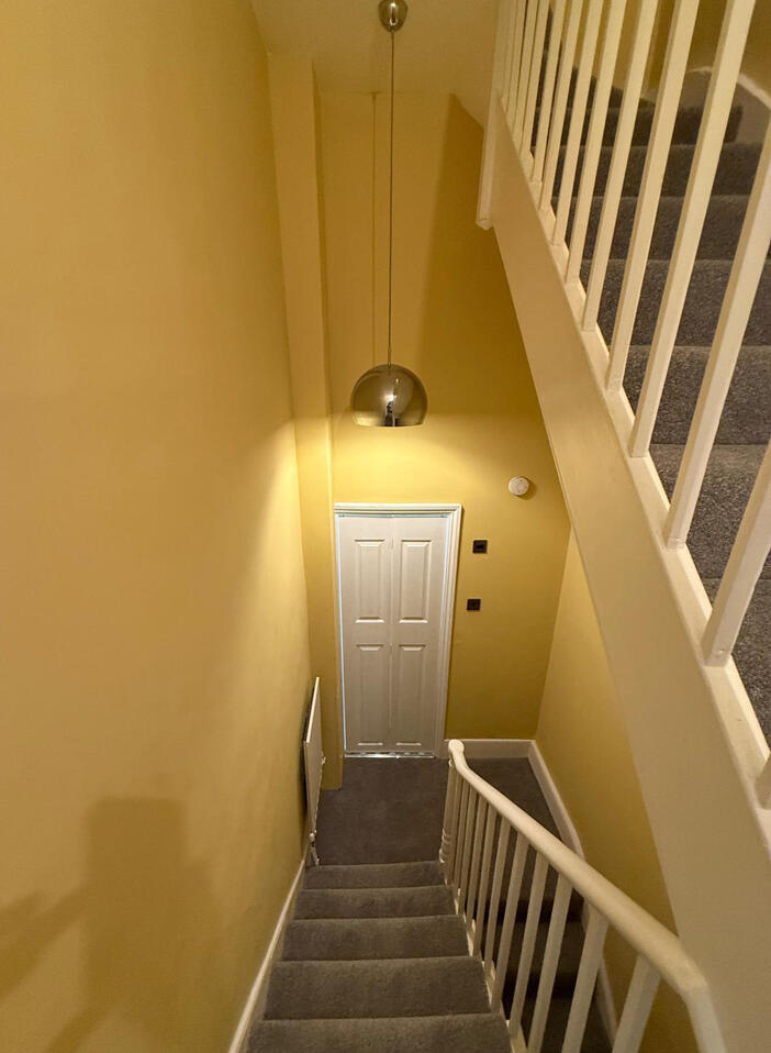Walls, cealings and feature walls